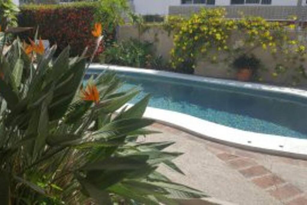 Apartmento Con Alberca A 50 Mt Del Mar La Licha Mazatlan Exterior photo